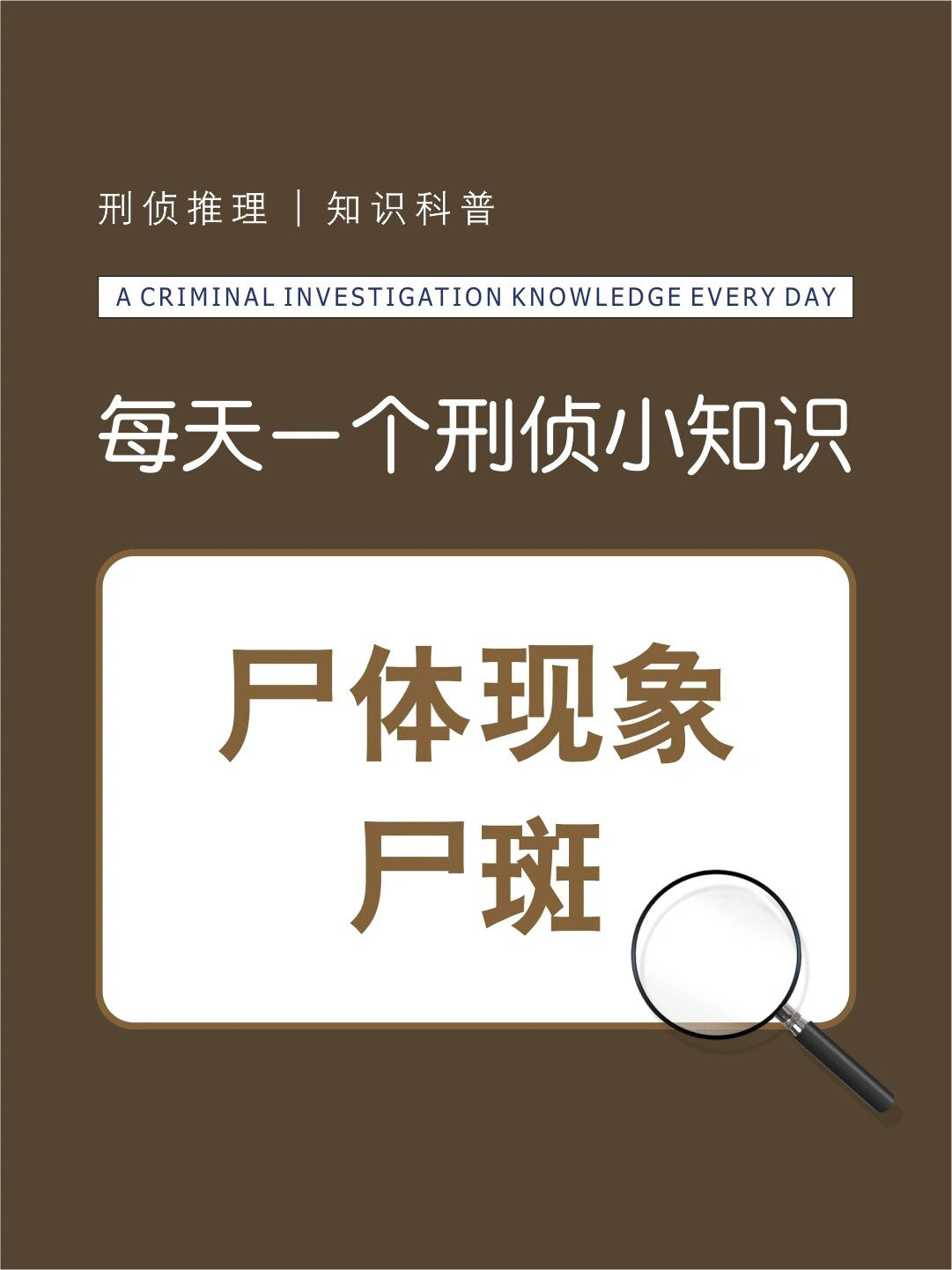 "侦"知识—尸体现象之尸斑