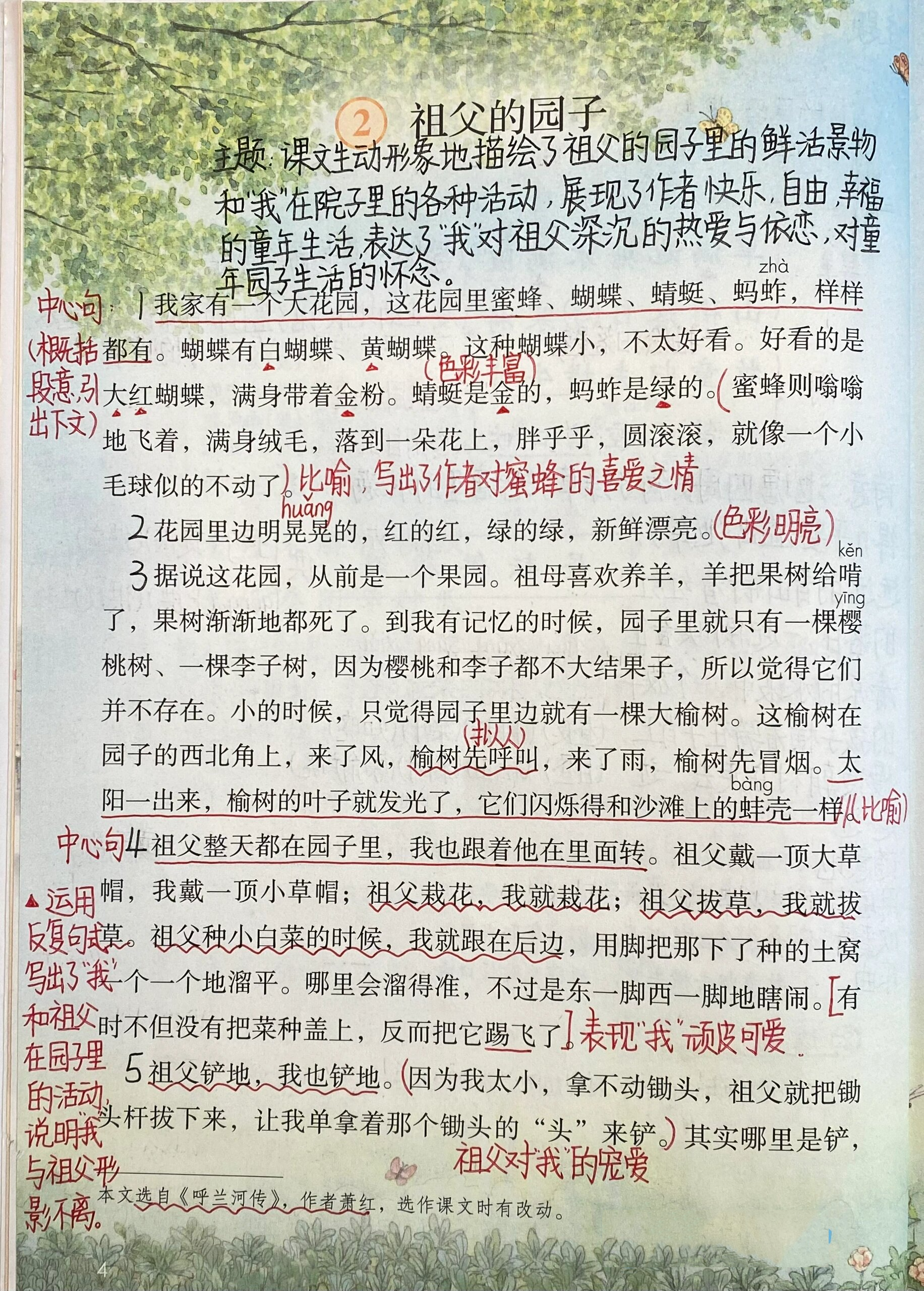 《祖父的园子》笔记图片