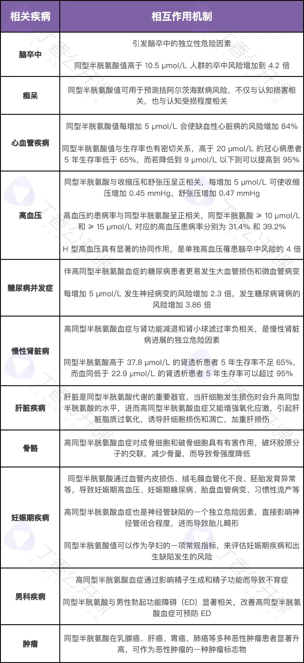 同型半胱氨酸升高或可致 10 种病! 高同型半胱氨酸血症(≥ 10 μmol/l