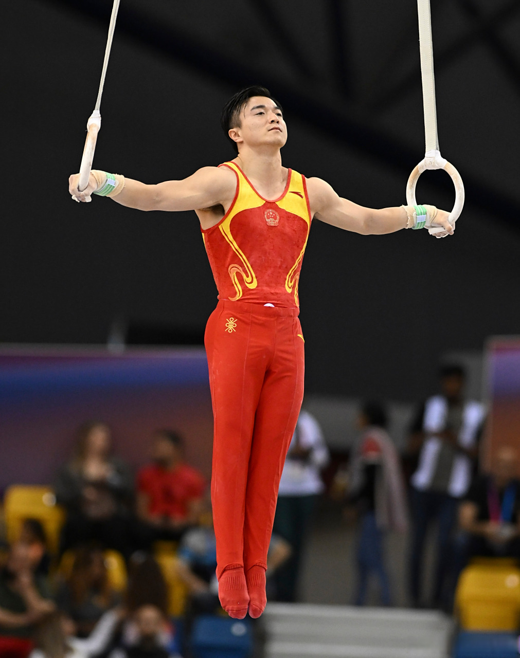 体操世界杯刘洋吊环夺冠# 国际体联世界杯赛多哈站,男子吊环决赛中