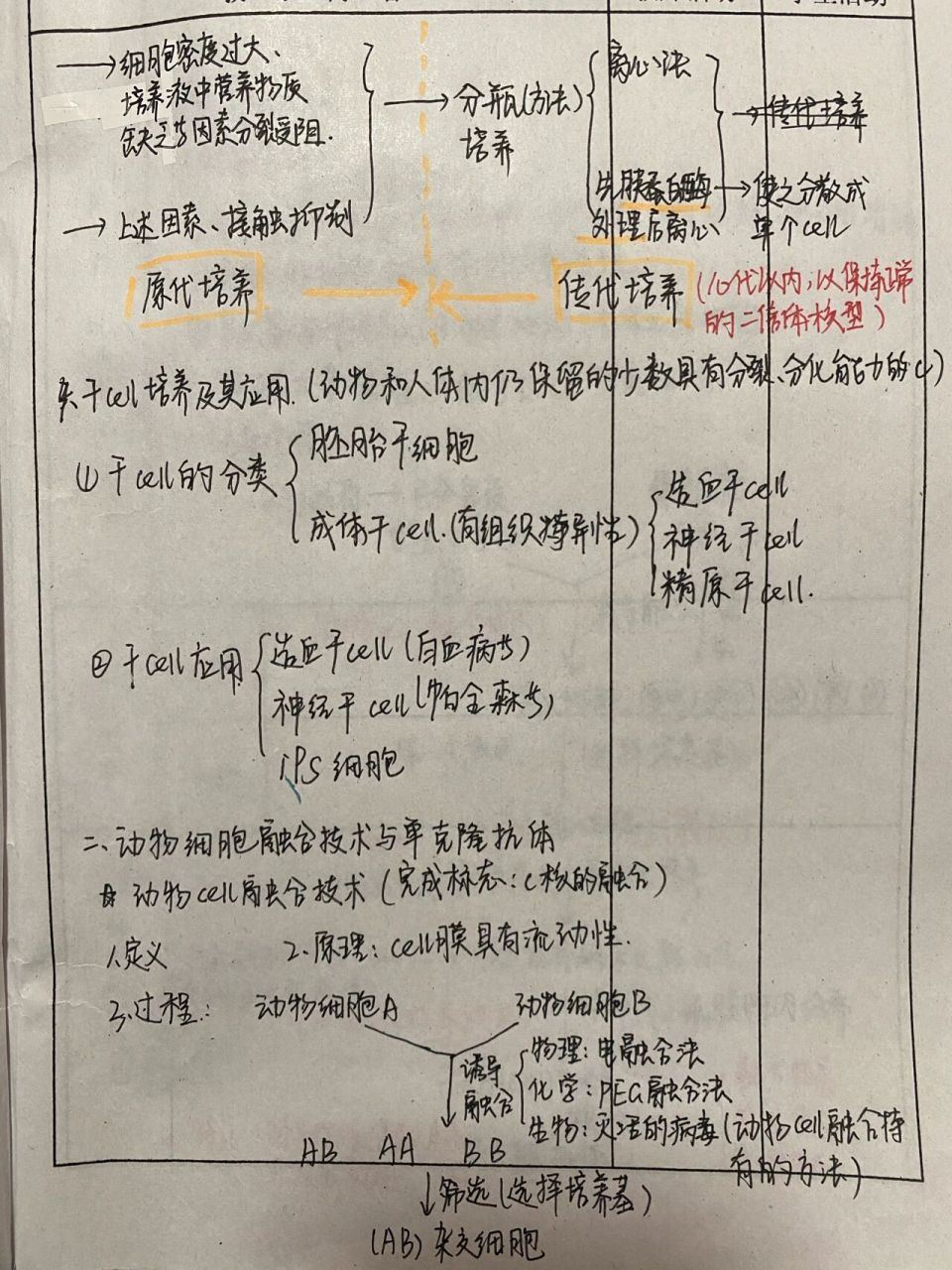 高中生物动物细胞工程知识点总结  选择性必修三