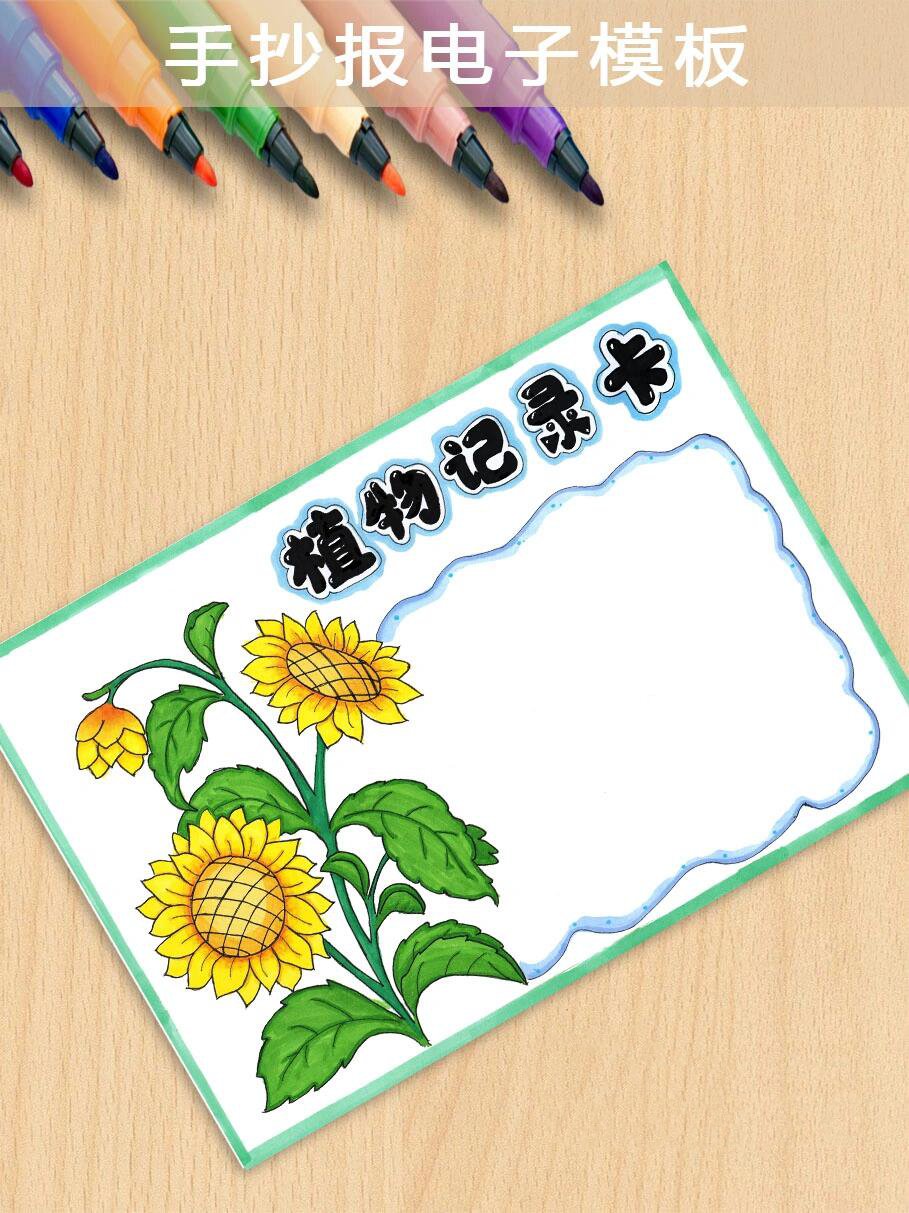 植物记录卡向日葵-204