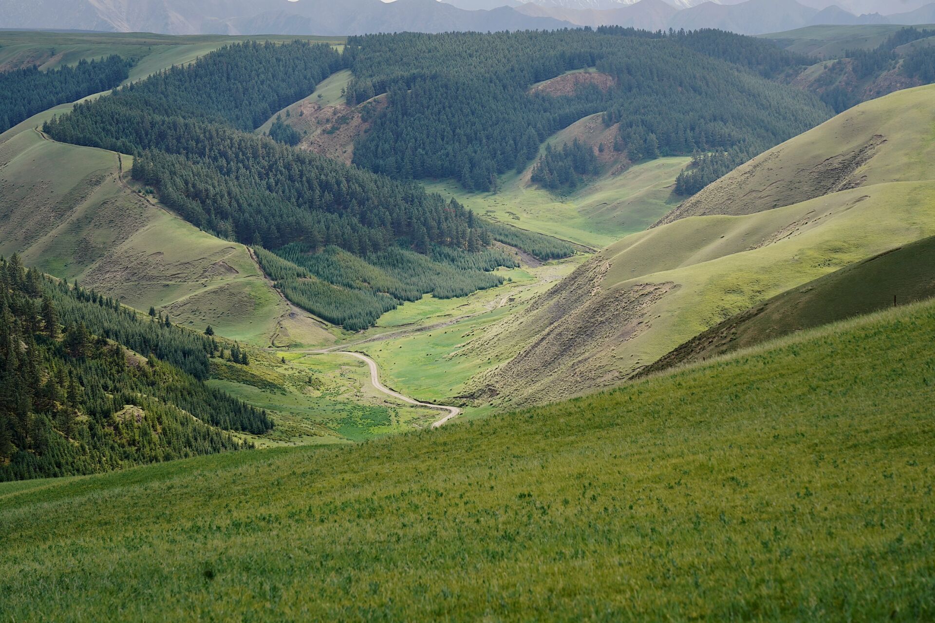 西北—甘肃—张掖小众旅行之【康乐草原】 大部分人张掖安排1-2天