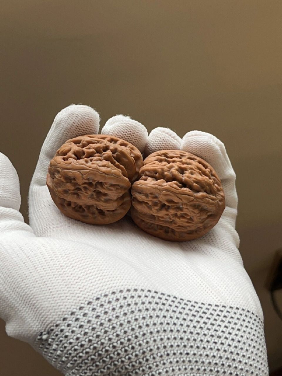 平谷九龙 新核桃到了   我到要看看九龙皮质有没有秦闷个好