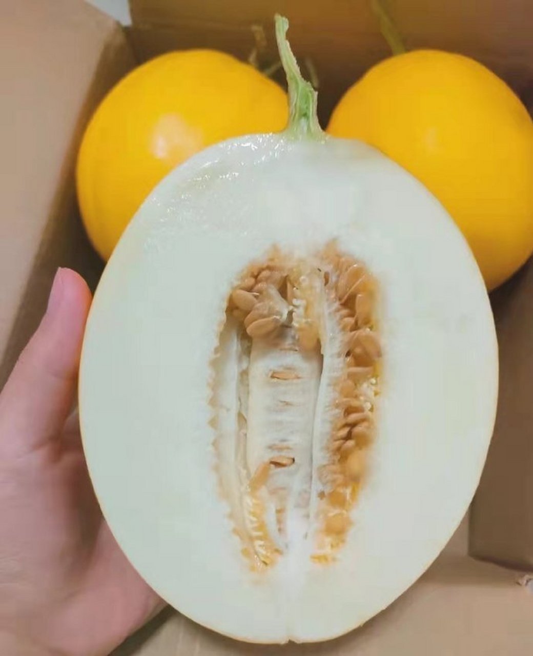 9】到手百果园 金美人蜜瓜3.