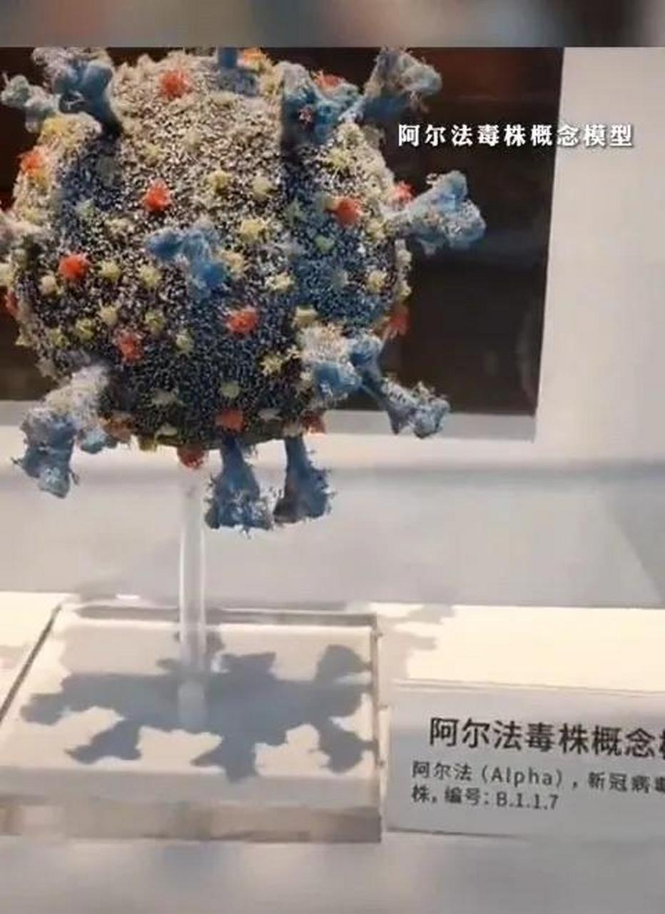 一代病毒就是个球上长冠子,特点是致死率高