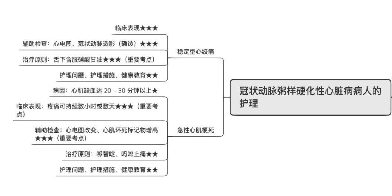 心脏思维导图怎么画图片