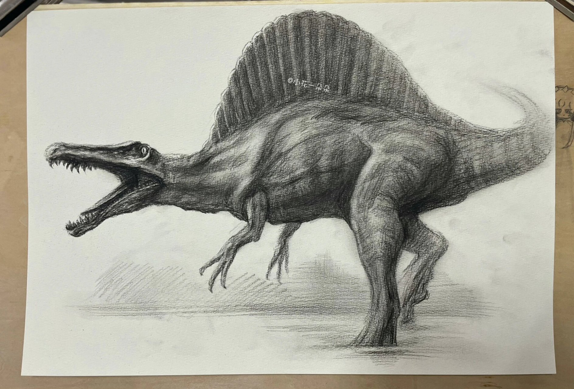 恐龙素描之棘龙 男孩喜欢细节之素描棘龙!