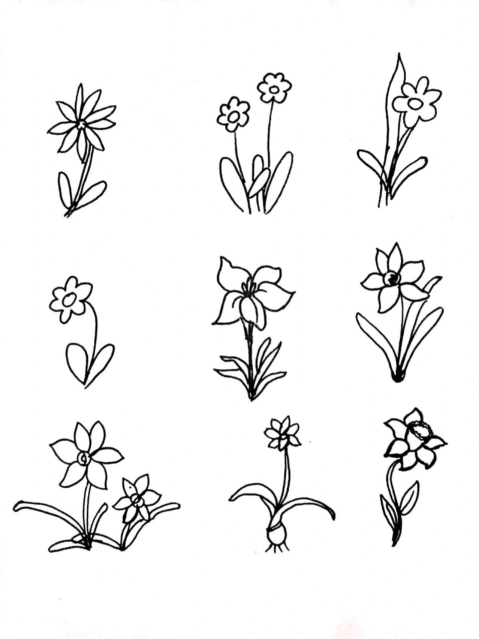 简笔画|儿童简笔手绘水仙花|66/100 生活原本沉闷 但跑起来就会有风