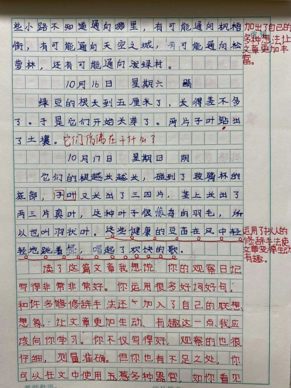 四年级的观察日记 最喜欢对于豆芽的根的描述 别具一格 同学的点评也