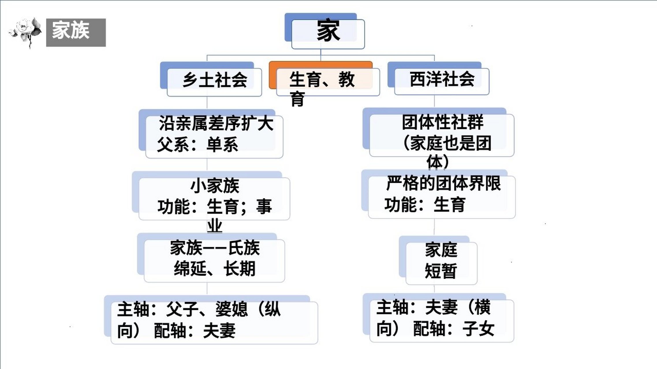 家族谱思维导图图片