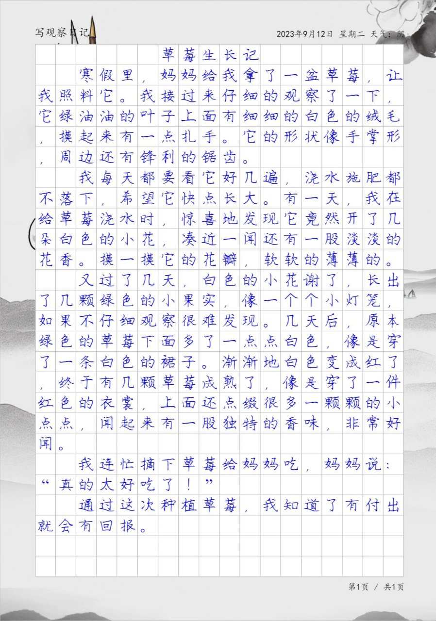 植物观察日记500字作文(植物观察日记500字作文六年级)