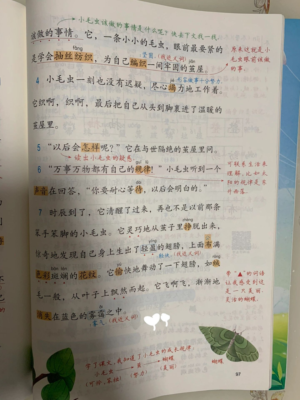 小毛虫 教学预习复习 课堂笔记 二年级下册语文第七单元第22课《小