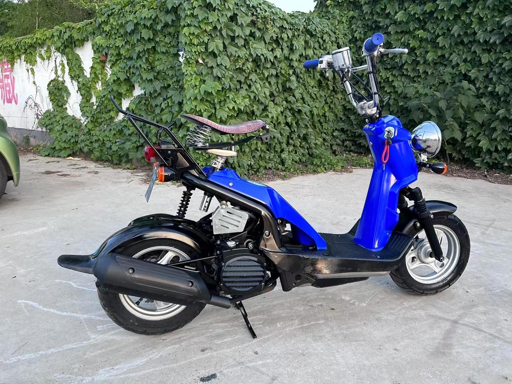 88009090名盘 本田小恐龙04收藏价值特高:日本bds直拍,毒物