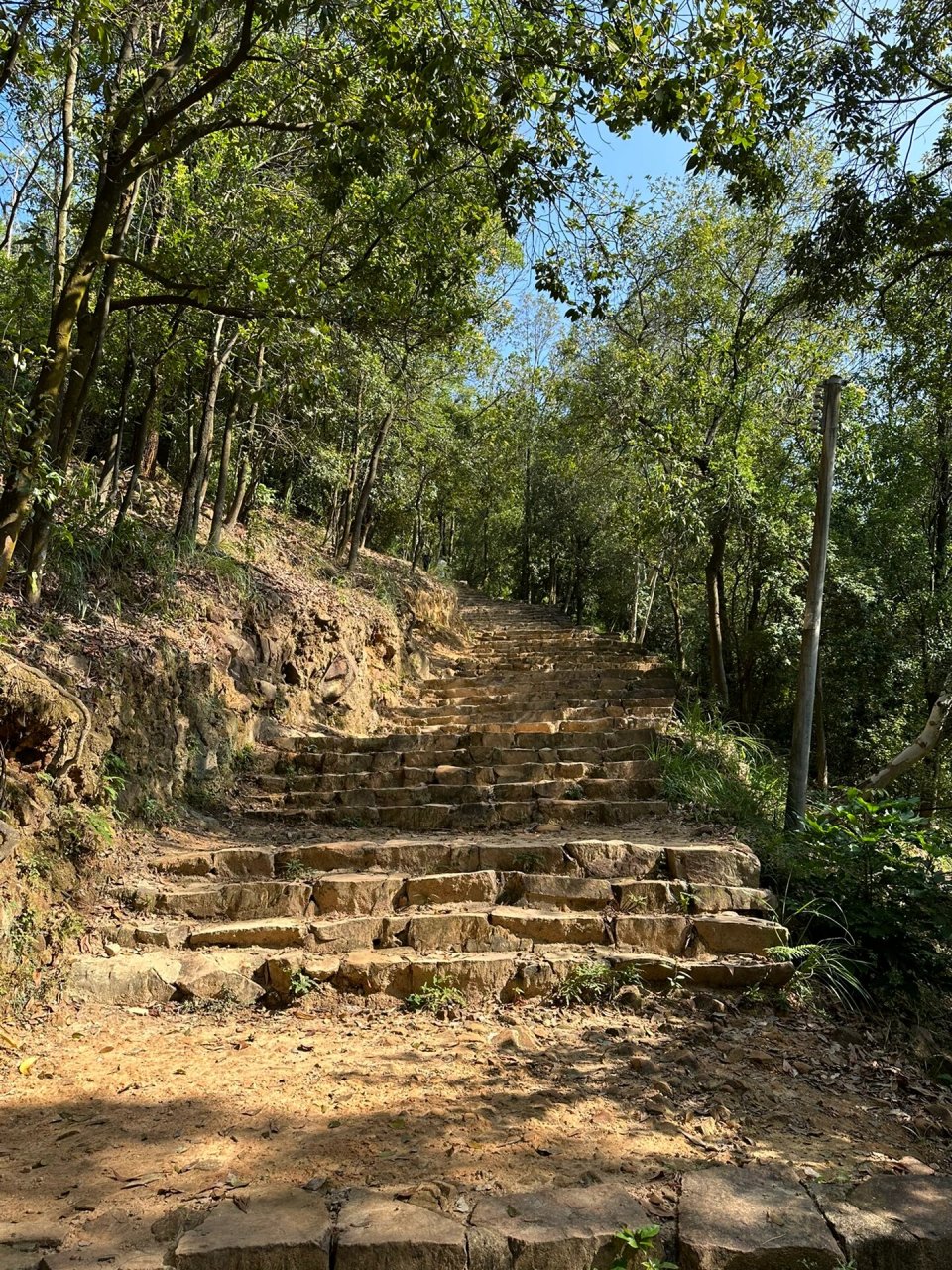 山野日誌壹之大尖山——一次满足你多个愿望 从大尖山公园上山,到山腰