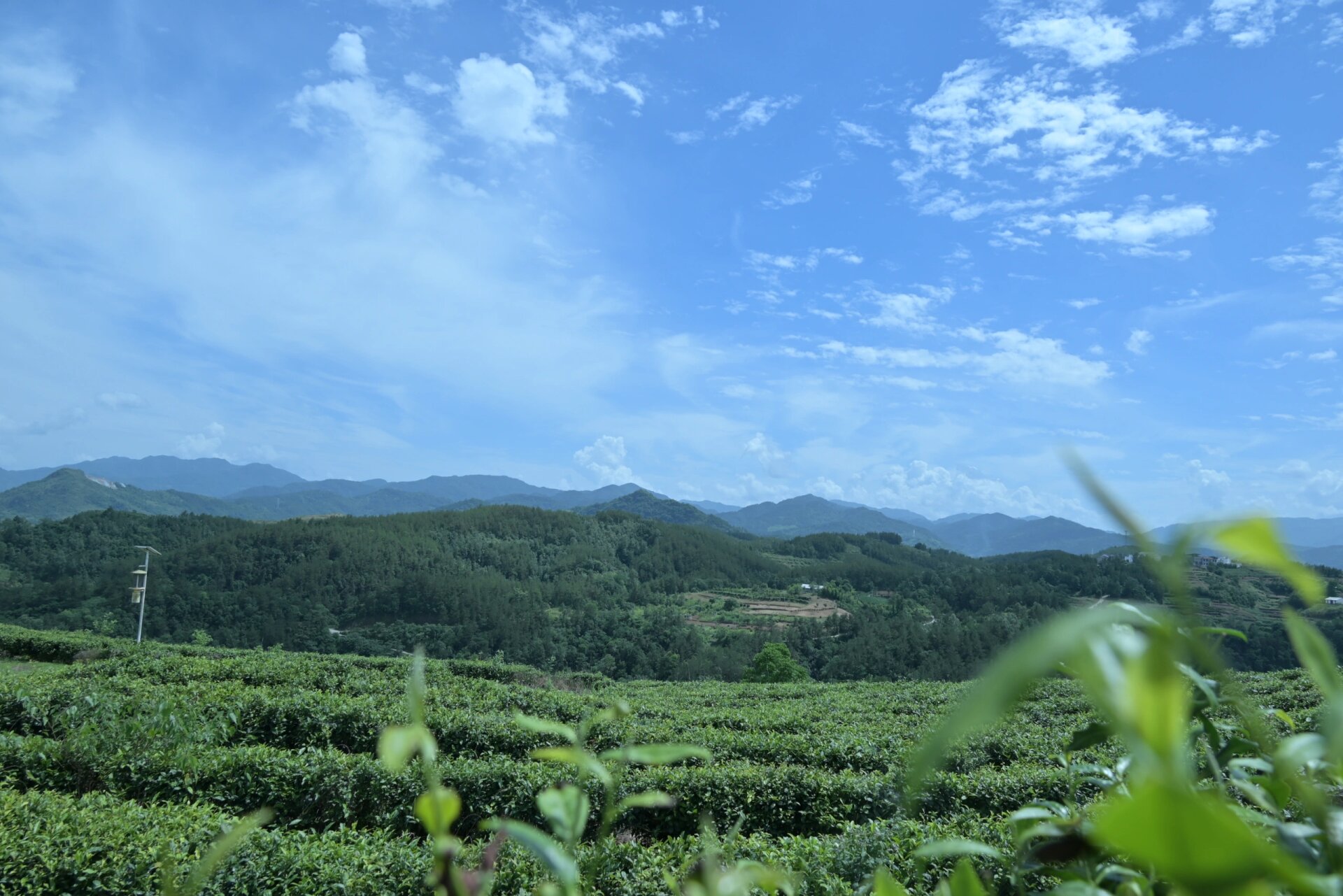 竹溪桃花岛和夯土小镇