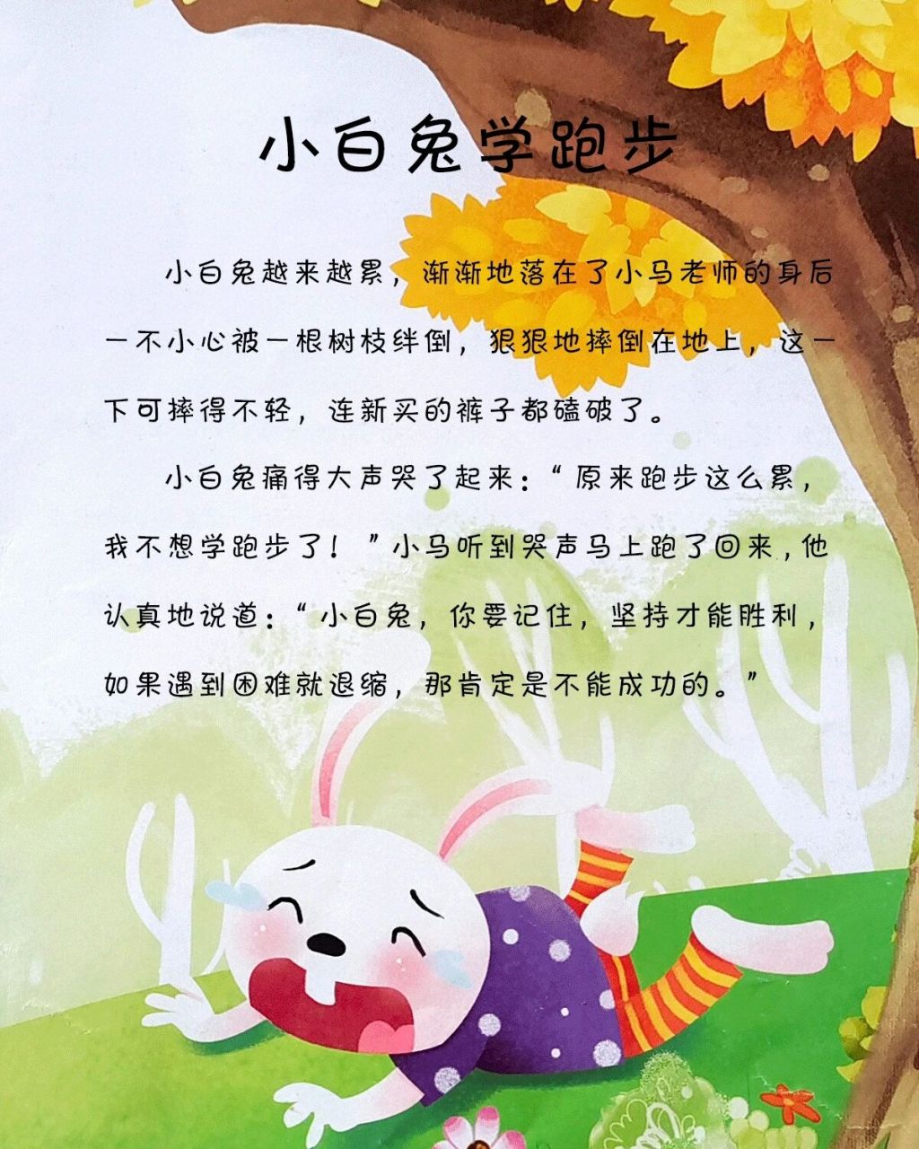 宝宝睡前故事-小白兔学跑步 宝宝睡前故事-小白兔学跑步 让宝宝学会