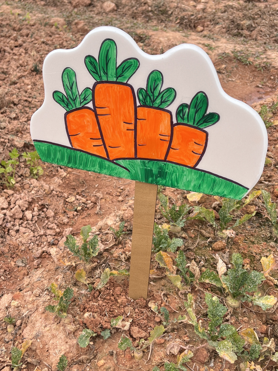 种植区区牌蔬菜