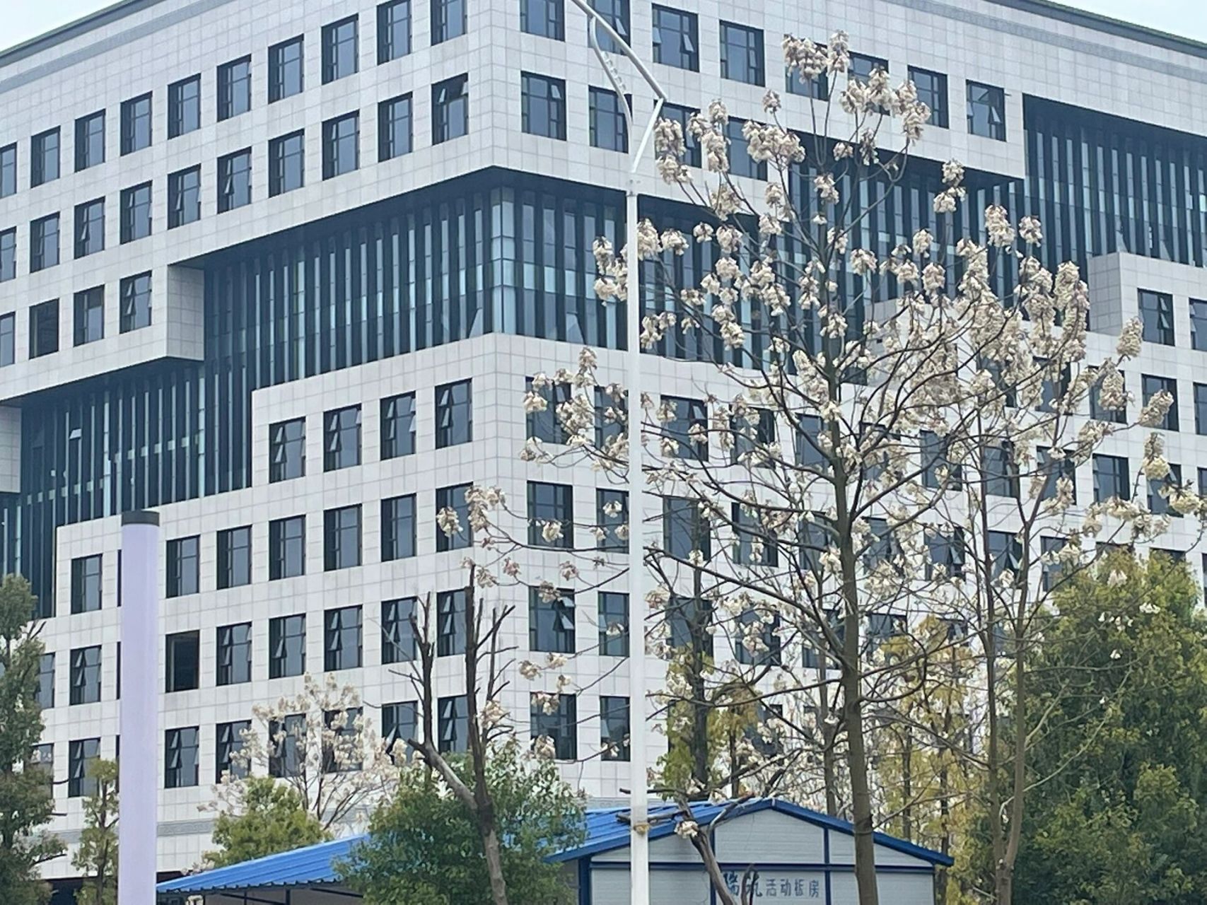 南华大学雨母校区实拍——有宿舍哦! p1是新建的超大图书馆!