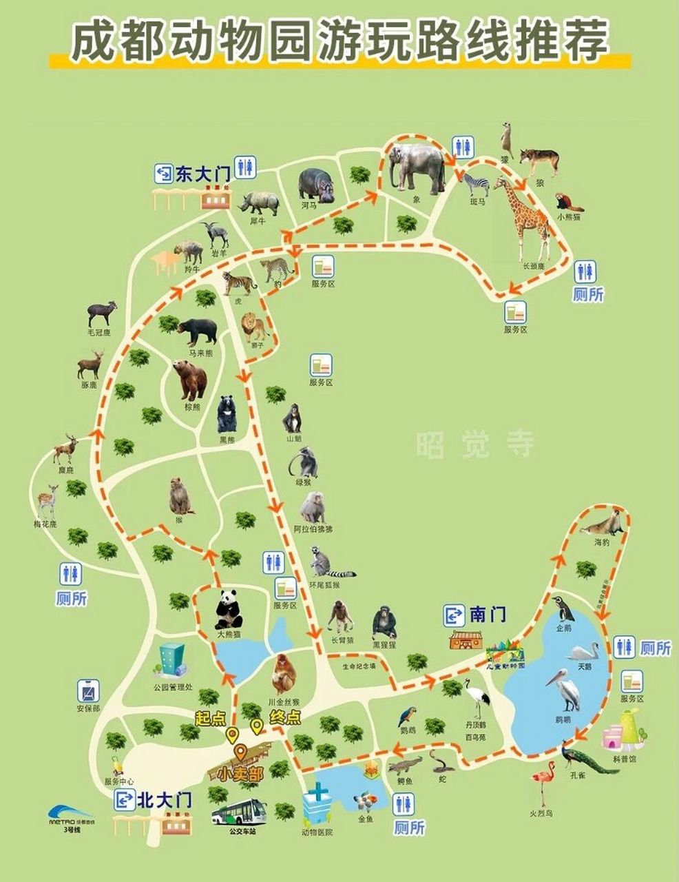 92910001050707成都动物园超强攻略来了,请码住～ 99