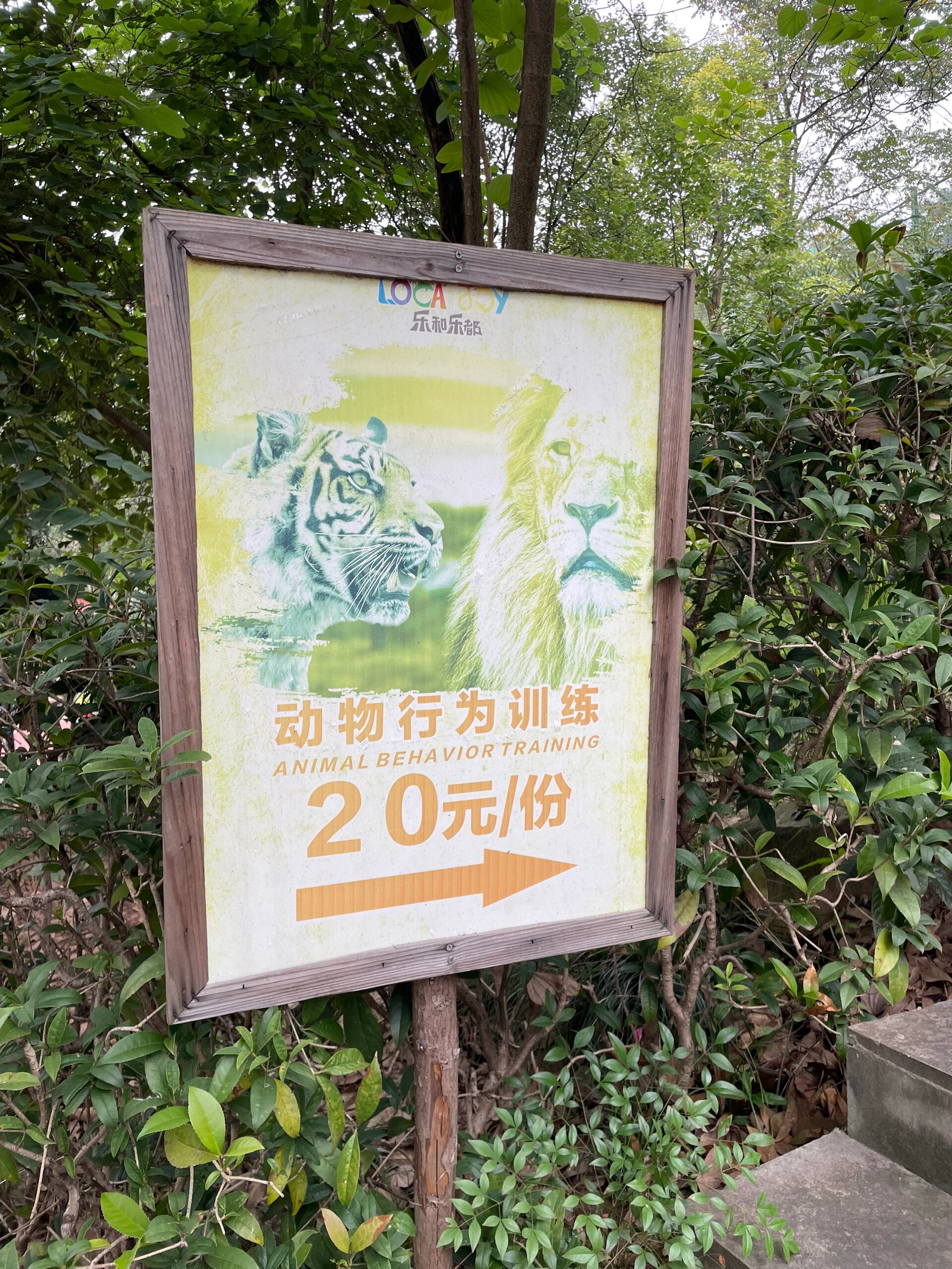 重庆周边游之—永川野生动物园