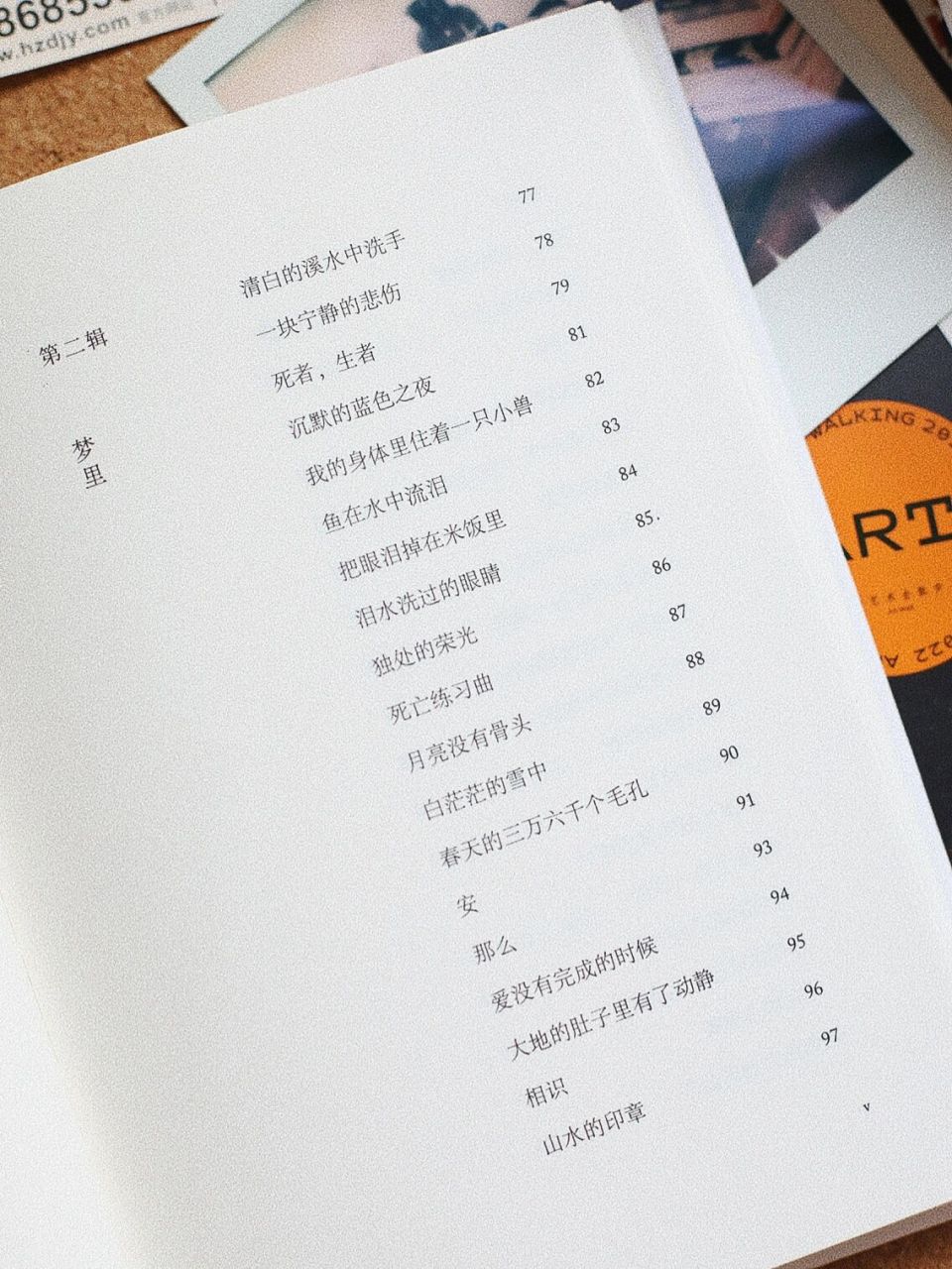 阅读区|我爱这残损的世界|宝藏诗人海桑 98《我爱这残损的世界》