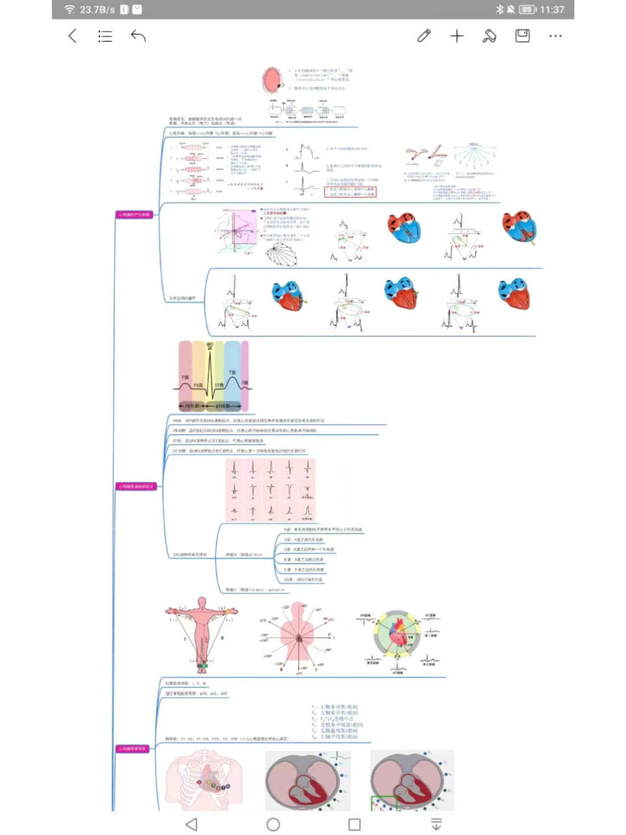 诊断学——辅助检查心电图及常见疾病 73诊断学 心电图检查 思维导