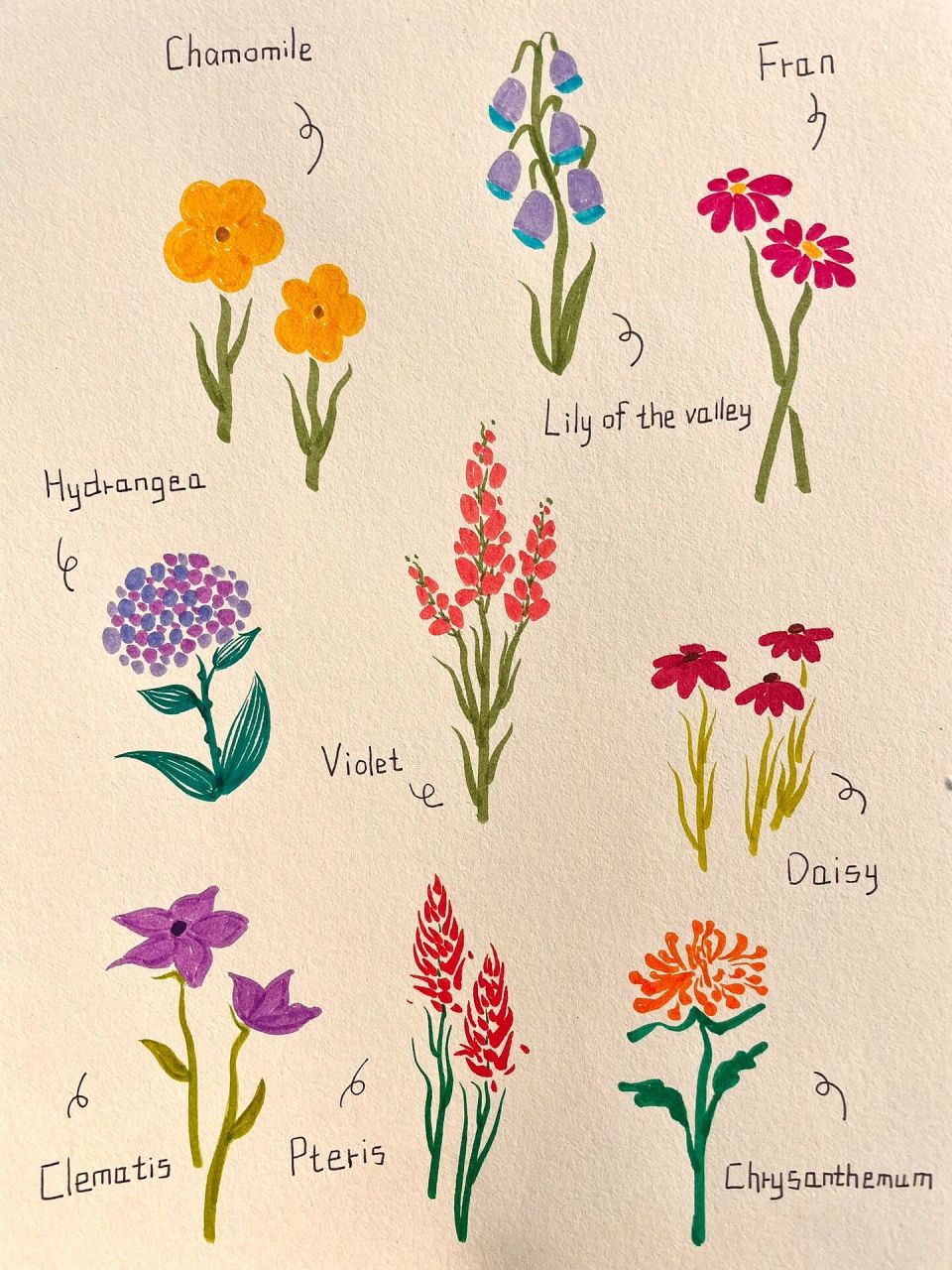 水彩|植物花卉|装饰画|纸花的艺术 用水彩笔画了极简小花93 明亮的