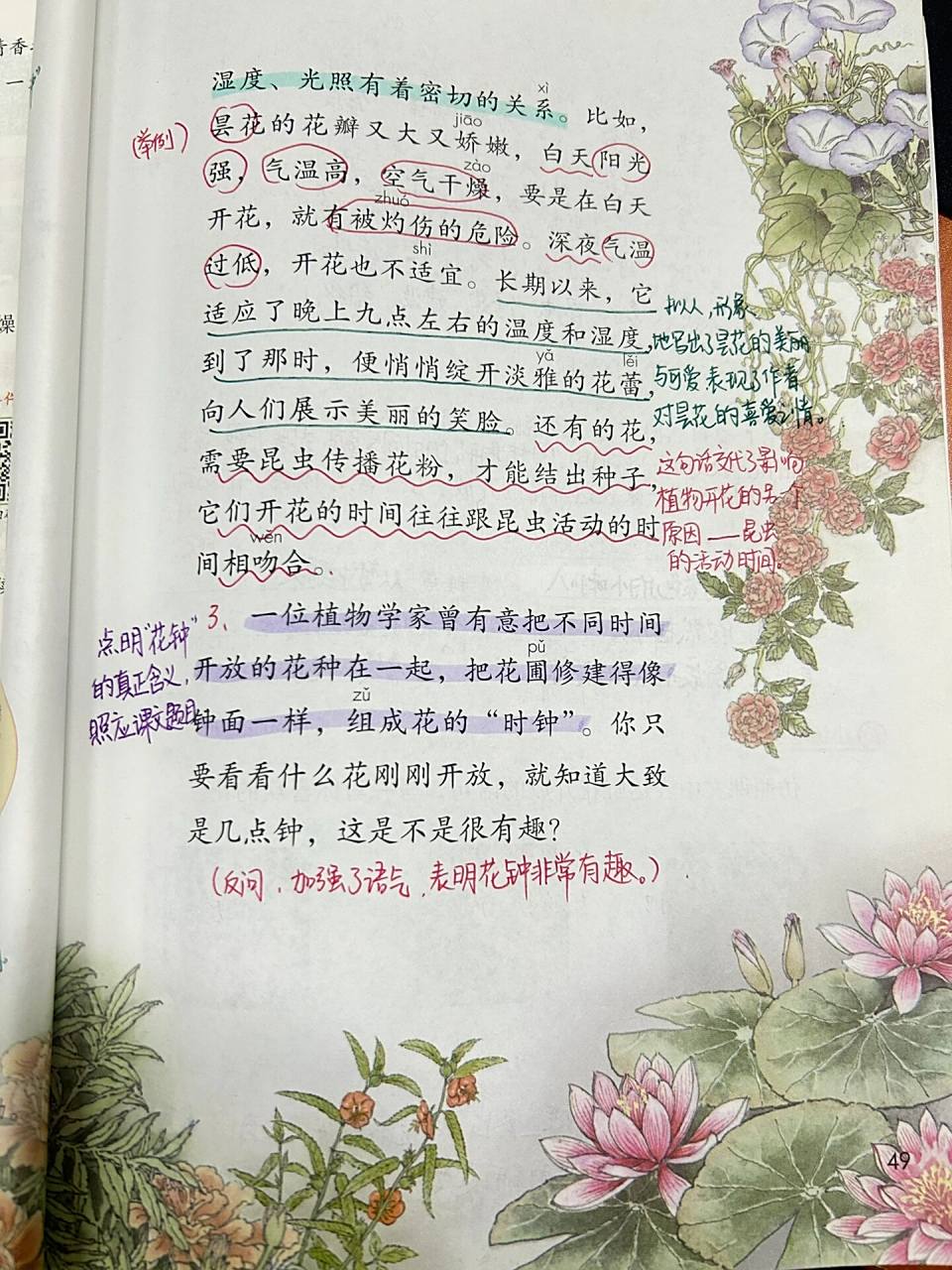 花钟93备课笔记92 这一课主要写了一天之内不同的花会在不同时间