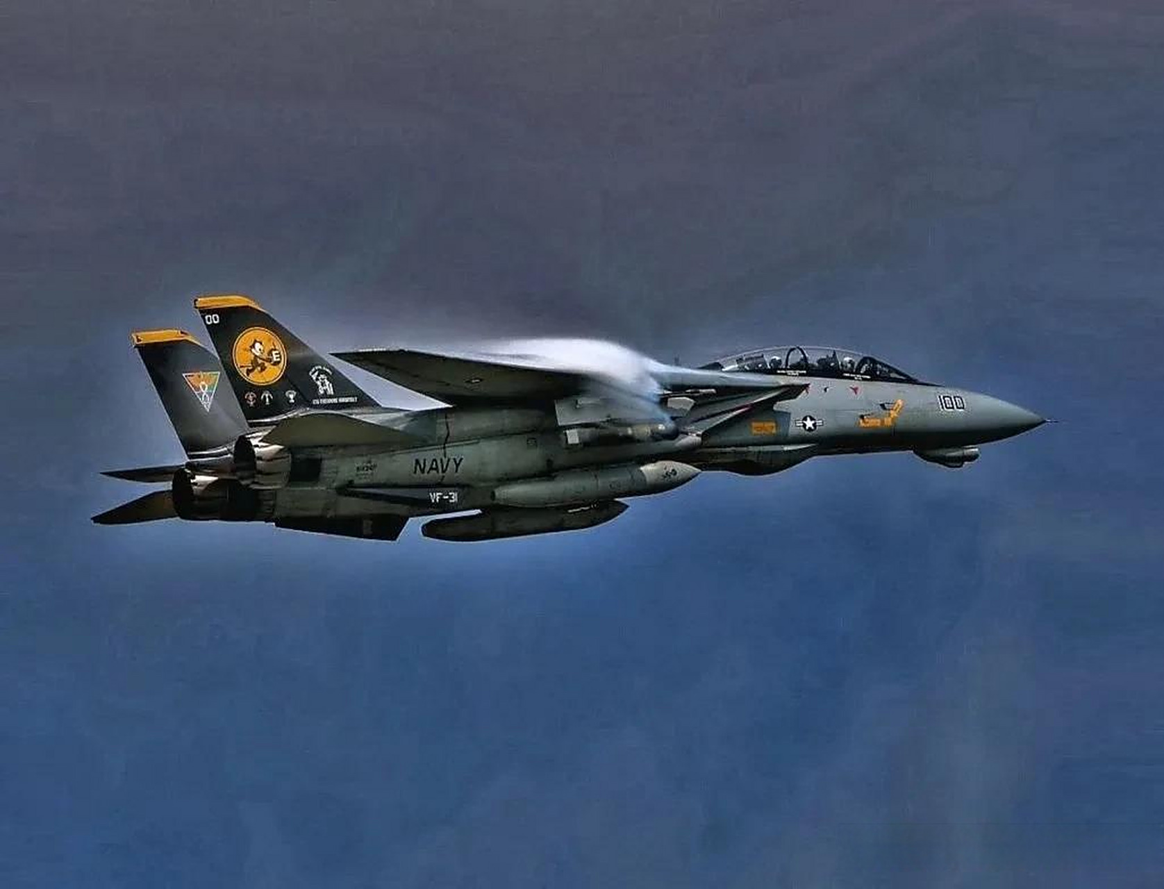 空军装备:美国f14战斗机