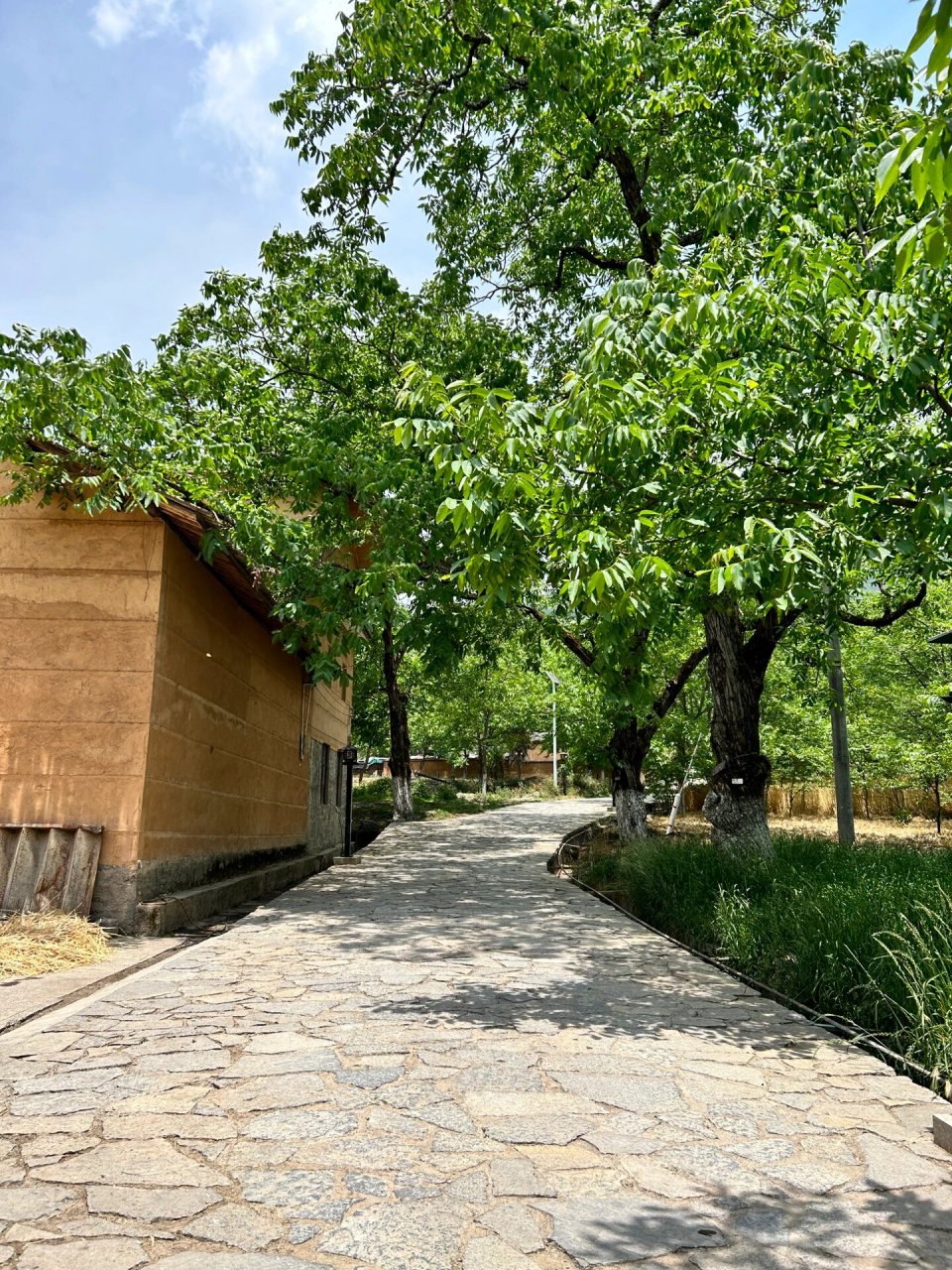 大理漾濞云上村庄    漾濞云上村庄一日游,太喜欢这个宝藏地了,虽然