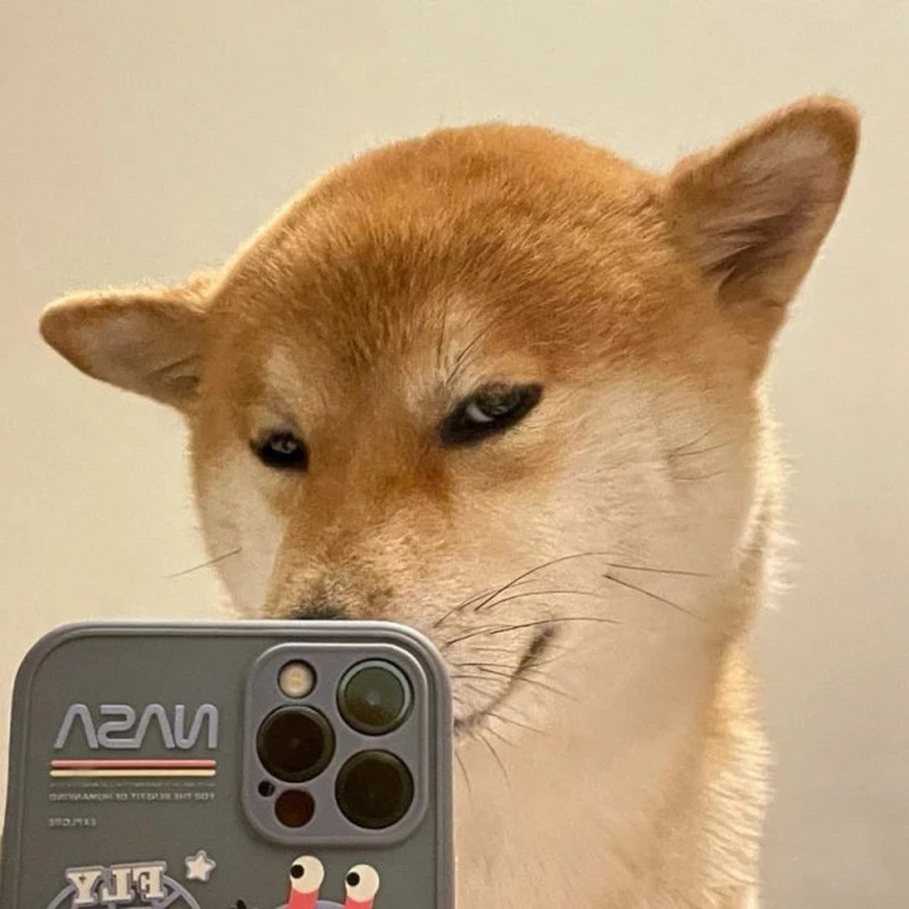 狗头沙雕头像 狗头沙雕头像