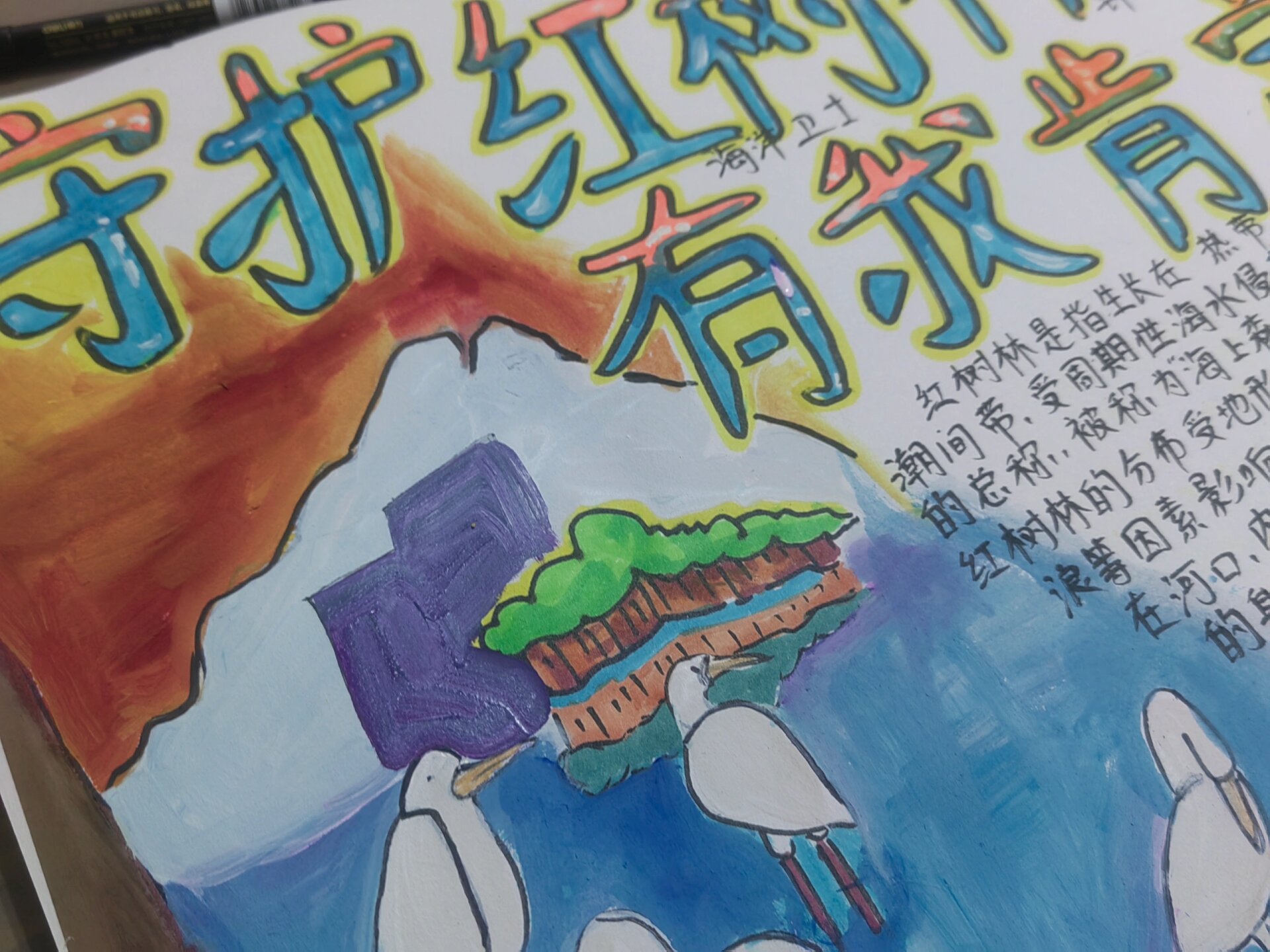 红树林手抄报 "守护红树林,有我一定行"