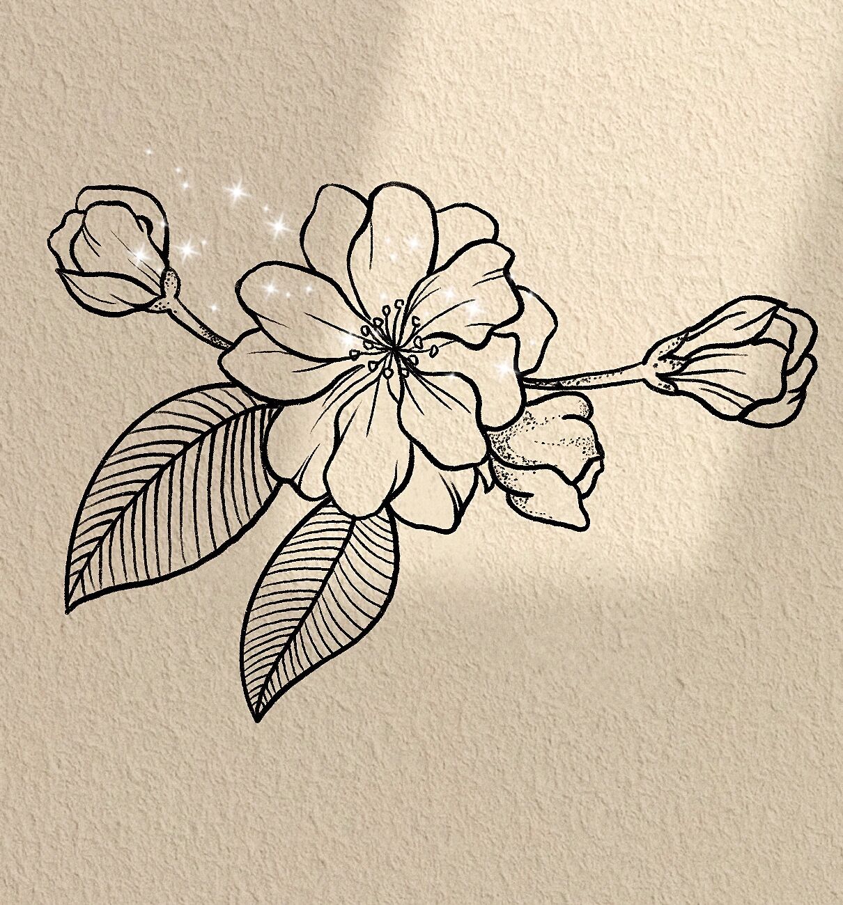 99零基础学画画|海棠花步骤图@孤雁鱼ing的动态