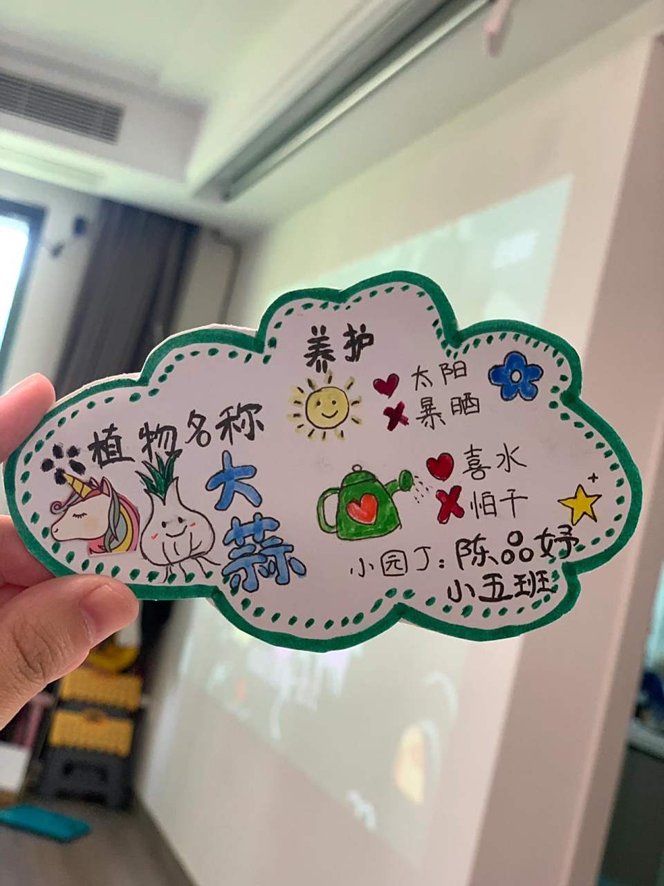 幼儿园手工 ———植物养护牌 费妈 做完大的 做小的
