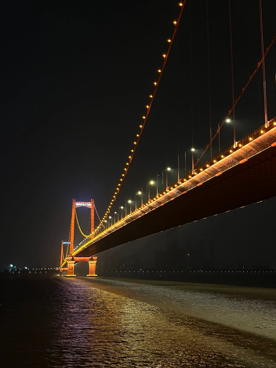 鹦鹉洲长江大桥夜景图片