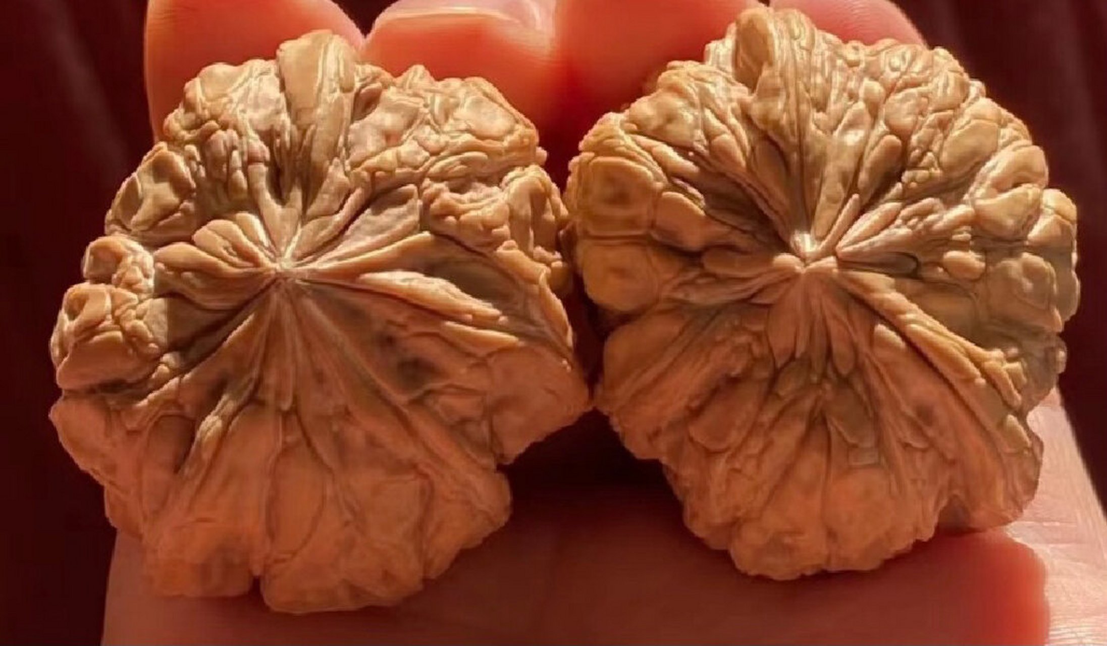 正好找到三棱吞金兽核中巨无霸--闷墩(门墩) 这款核桃火起来和王勇