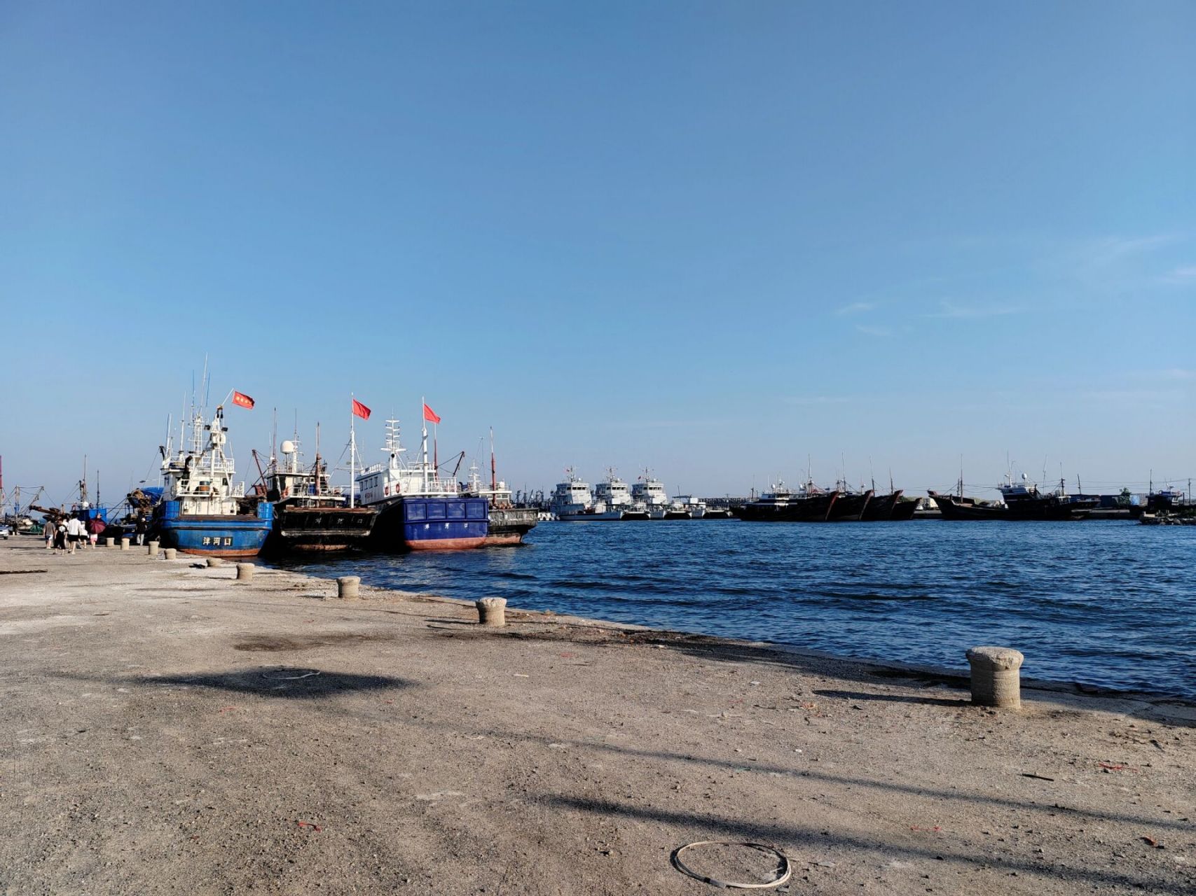 昌黎七里海湿地赶海挖生蚝 去七里海湿地赶海可以挖到很多生蚝,提醒