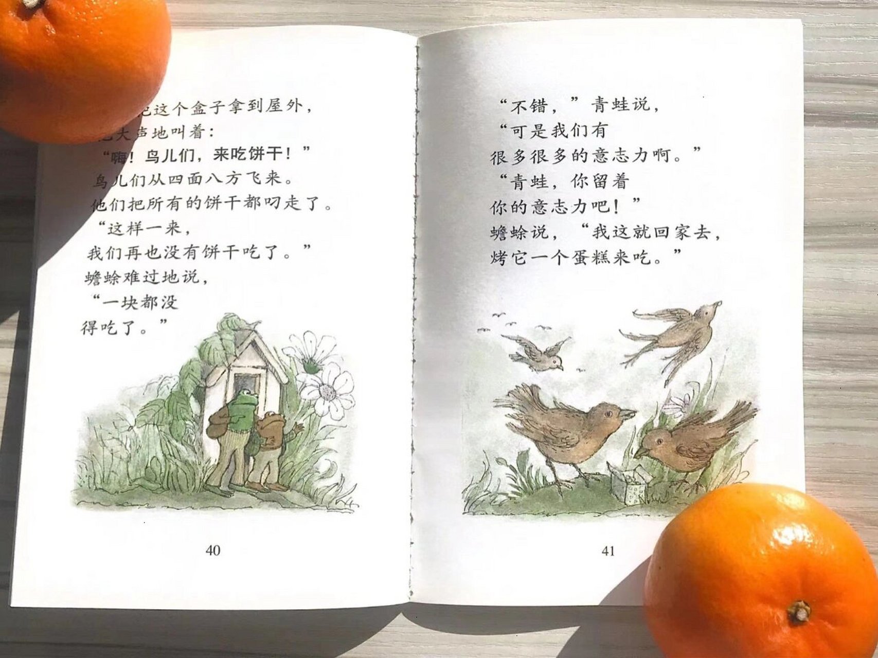 童书推荐|《青蛙和蟾蜍好伙伴》 97推荐年龄:5-8岁,亲子共读的桥梁