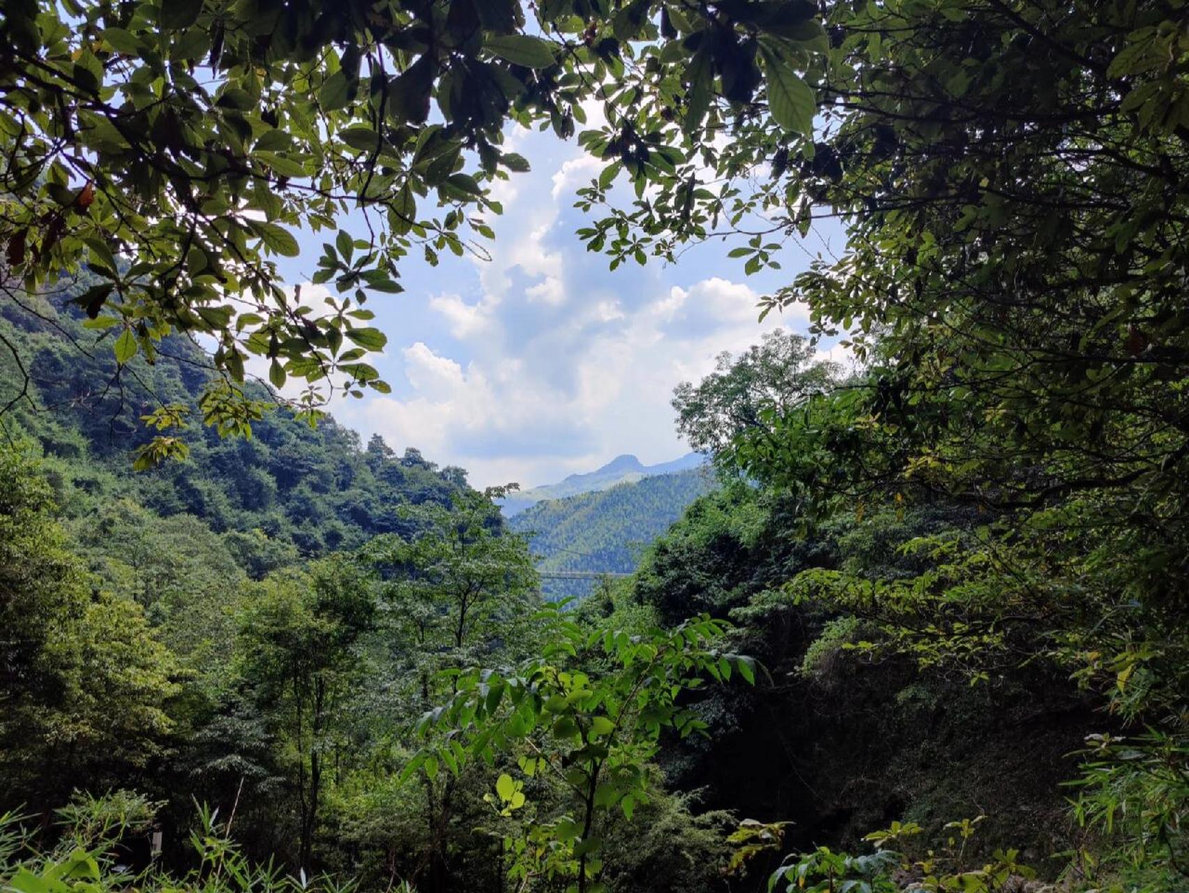 衢江药王山图片