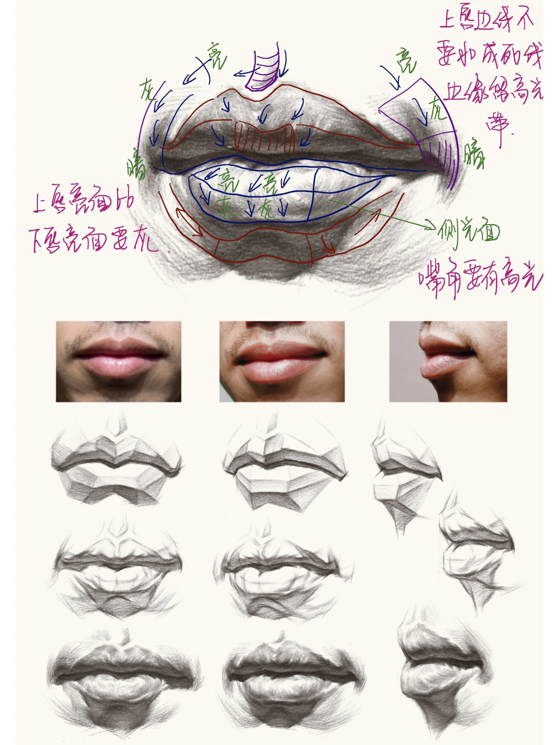 素描头像五官塑造技巧图片