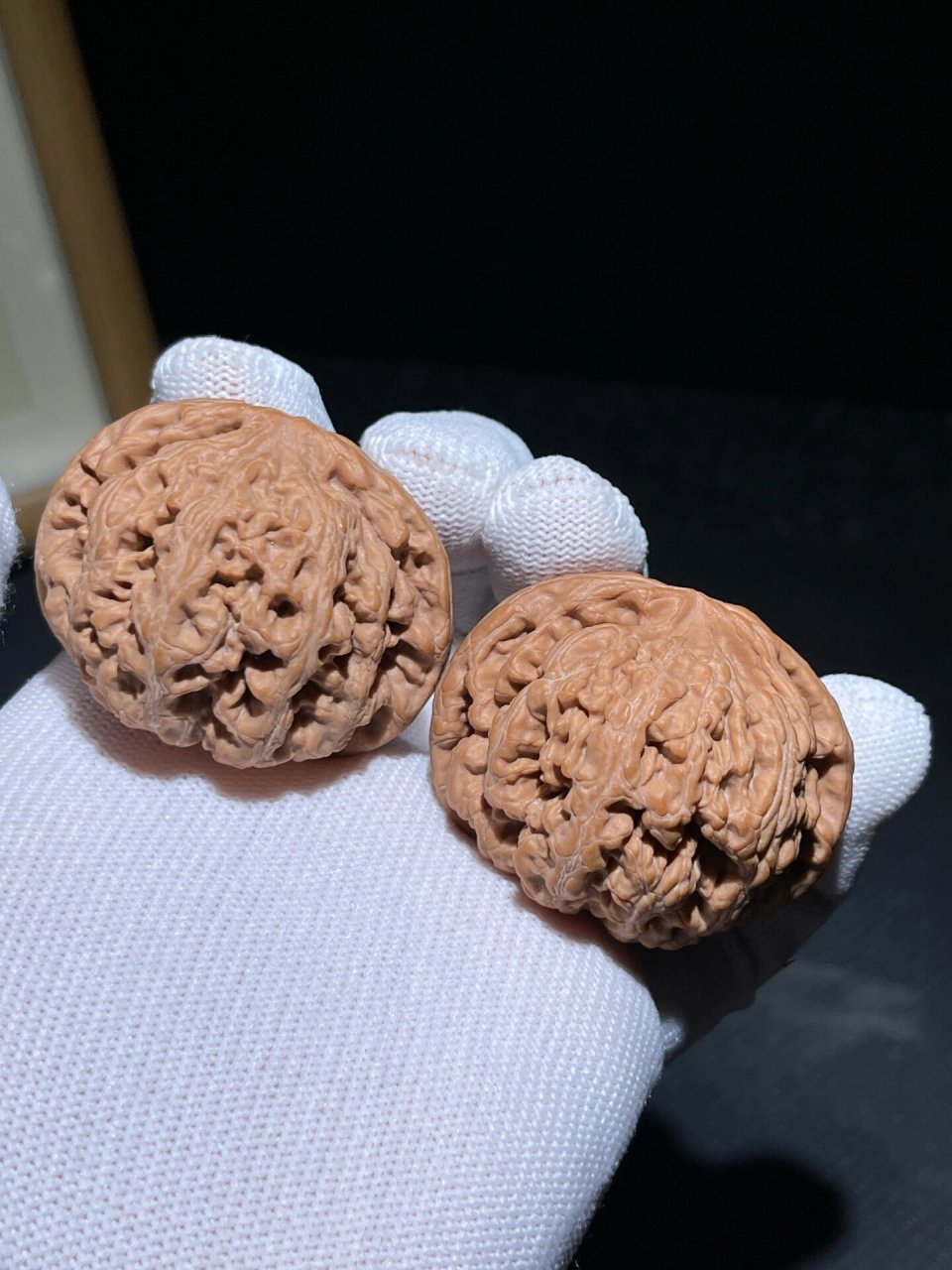 平谷大粗筋,漂亮的中桩肉球狮子头非常难得.