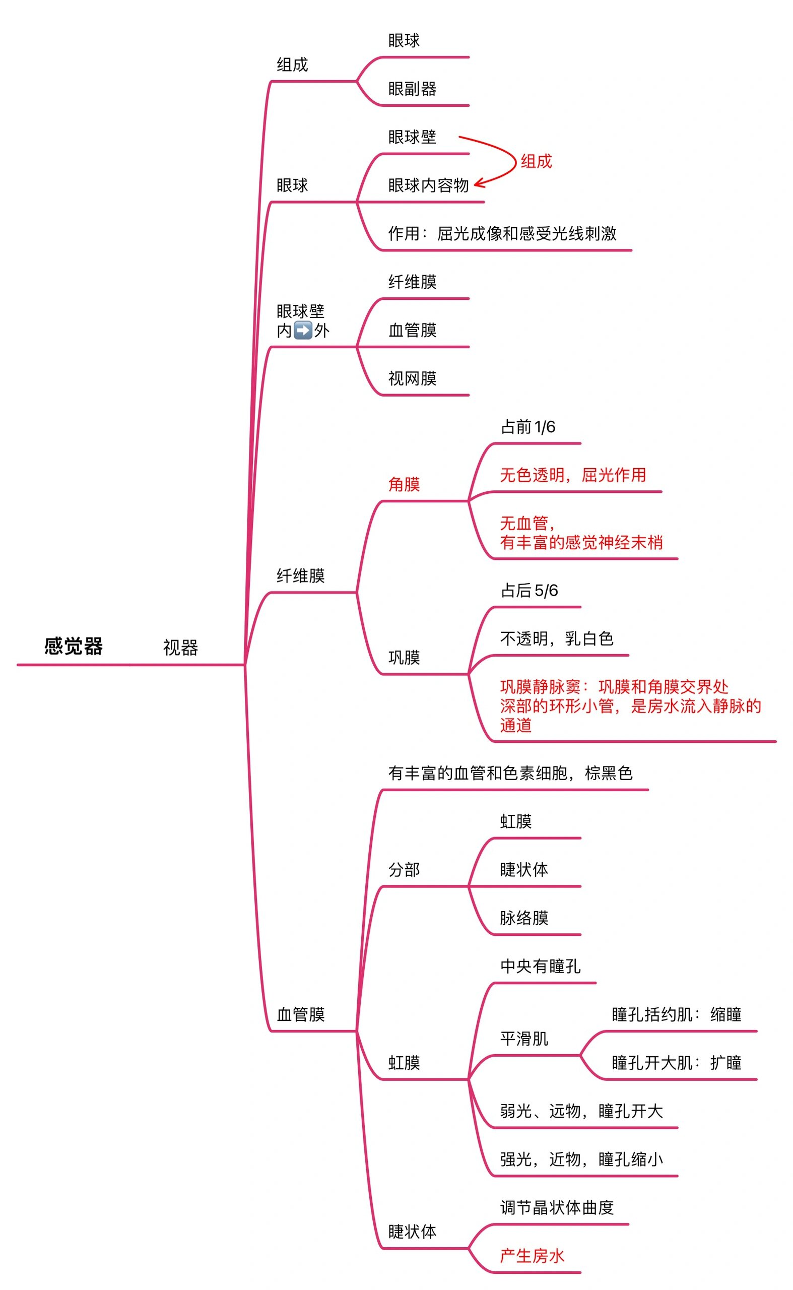 感觉器全部思维导图来咯 思维导图快更新完了# 感觉器