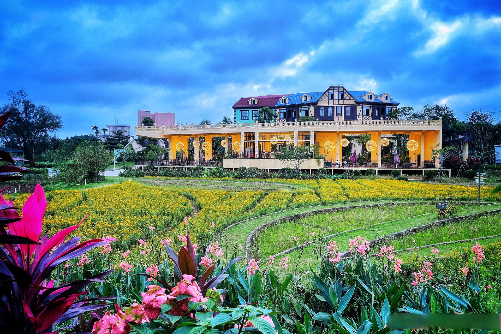 炎炎夏日,带上你的手机~和我们一起出发去定安的香世界·香草田园拍摄