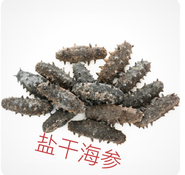 如何区分劣质海参呢