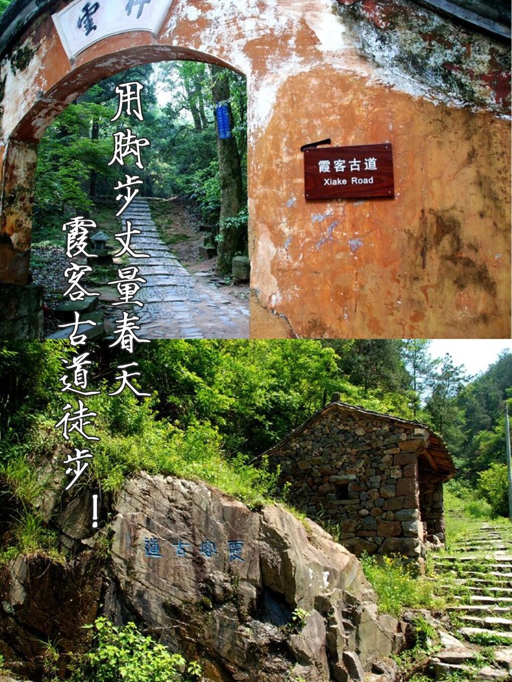 春天95的天台山,阳光明媚百花94竞开,鸟语花香芳草95萋萋,到处