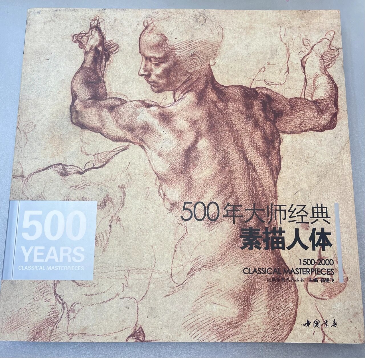 超喜欢这本,就是太大太大了,太重了不好临摹, 最喜欢米开朗基罗的人体