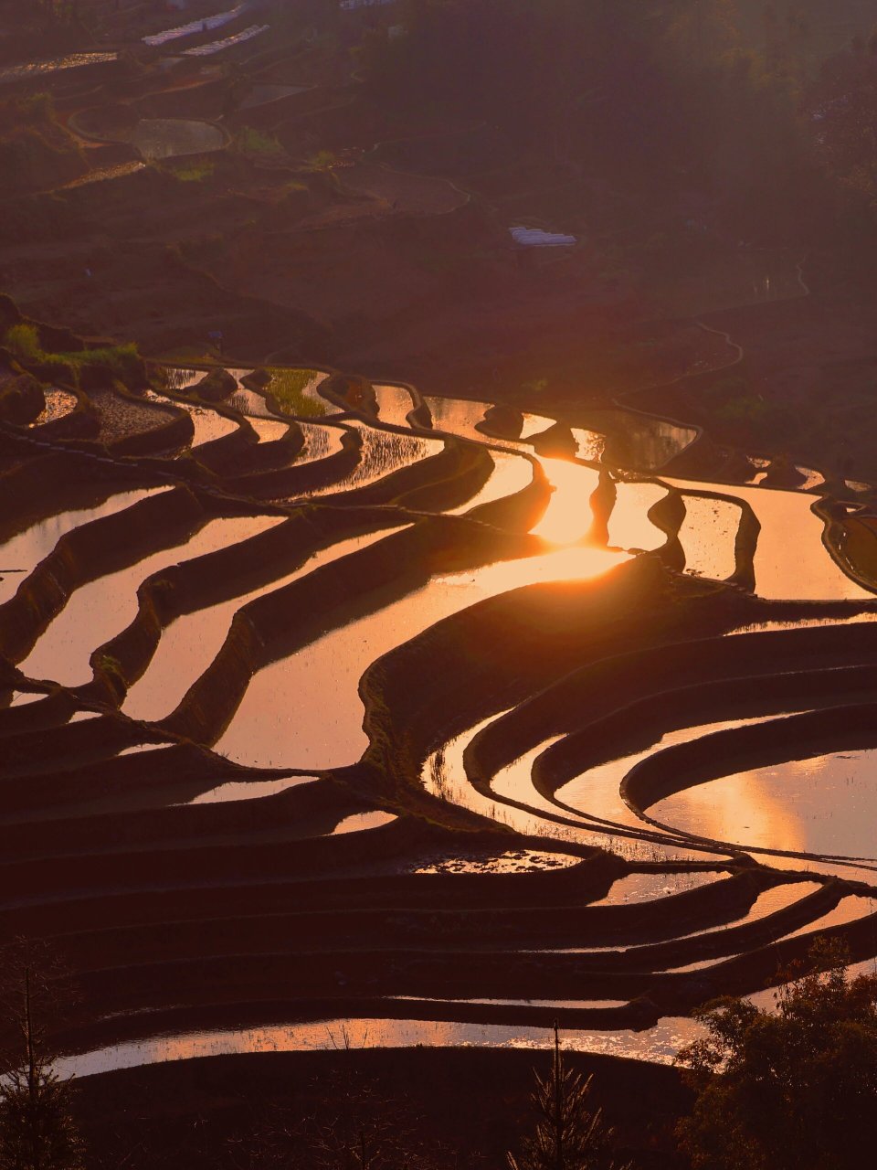 元阳|红河哈尼族彝族自治州|上帝的调色盘 我的龙年新游记第十六站
