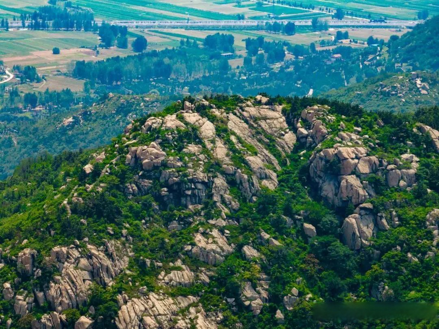 山东省滕州市龙山15000亩,有98%的面积被森林植物覆盖.