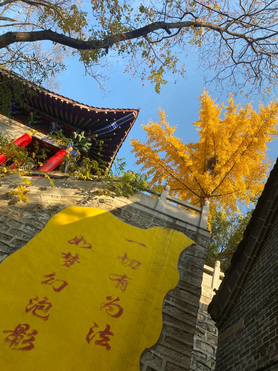 义净寺 义净寺位于济南市长清区,分老寺和新寺.